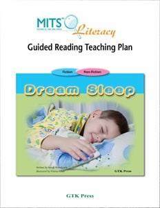 Dream Sleep - teaching plan