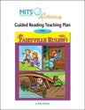 Fairyville Rules! - teaching plan