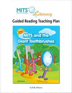 MITS and the Giant Toothbrushes - teaching plan